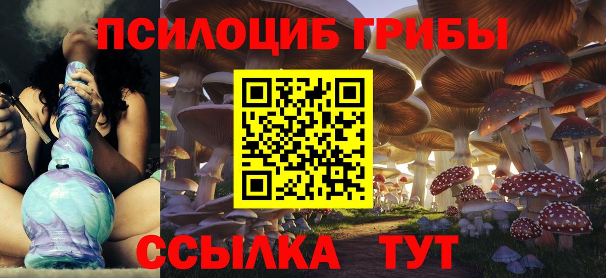 купить наркоту  Вход с VPN  Похвистнево  Галлюциногенные грибы мицелий  Галлюциногенные грибы прущие грибы 